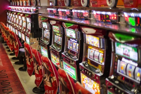 Wild Coaster live dealer studio with rotating game displays